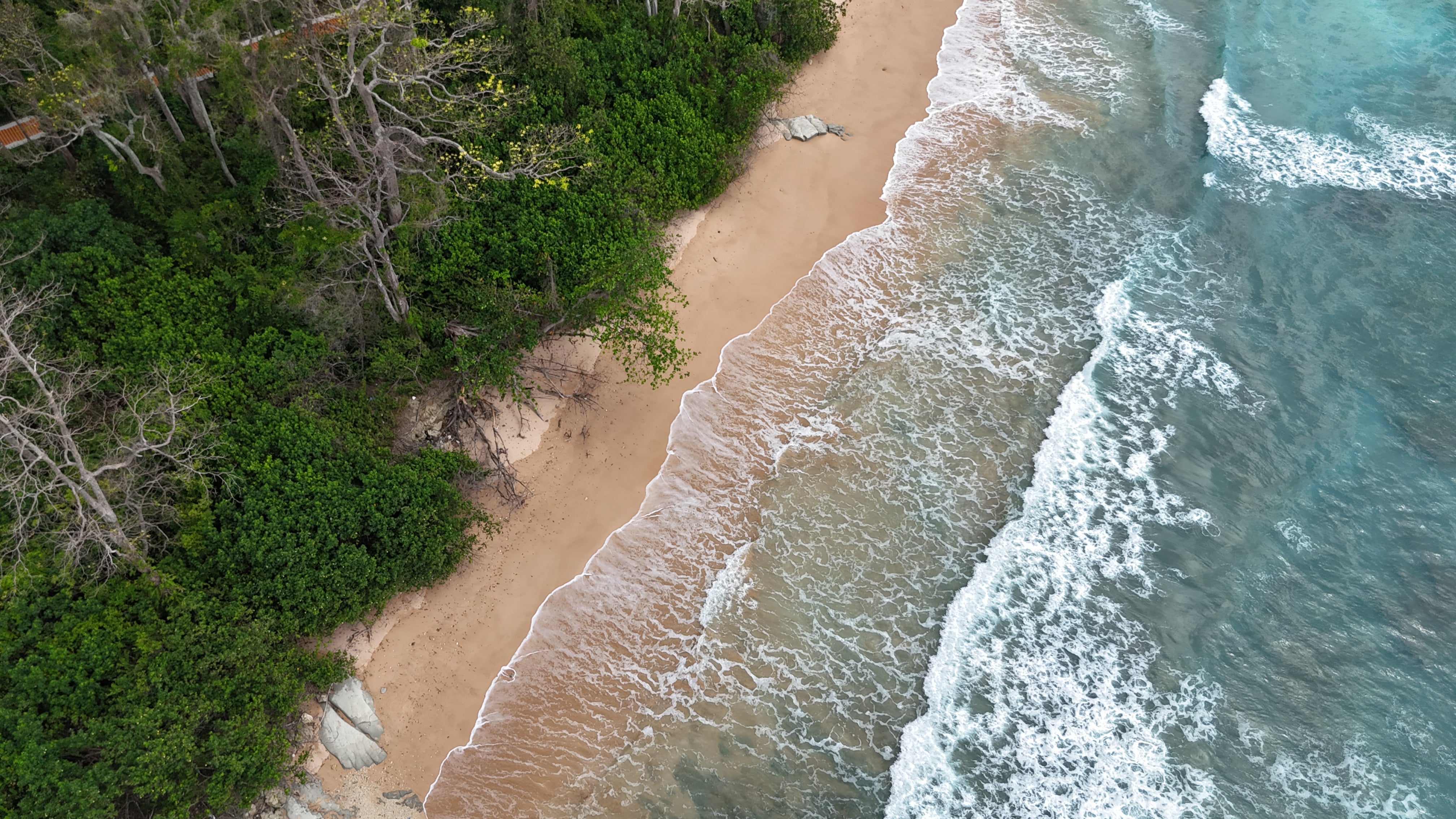 World Oceans Day: Giving Back to the Waters That Connect Us